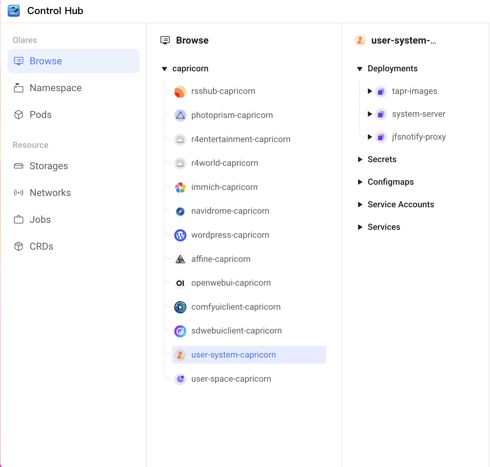 View running pods in Control Hub